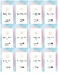 ラミナスＣＹＰ®サプリメント プレミアムver.（12個セット）